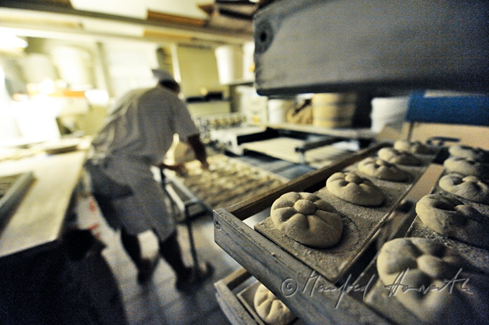 bread rolls before baking