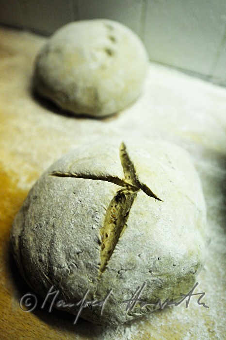 loaf of sourdough before baking