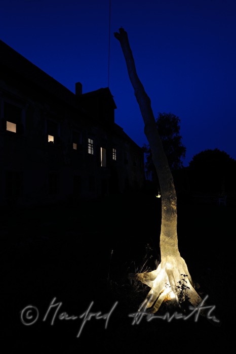 tree-sculpture in front of the studio