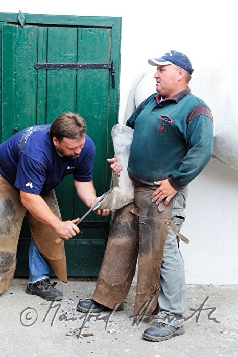horsehoer at work