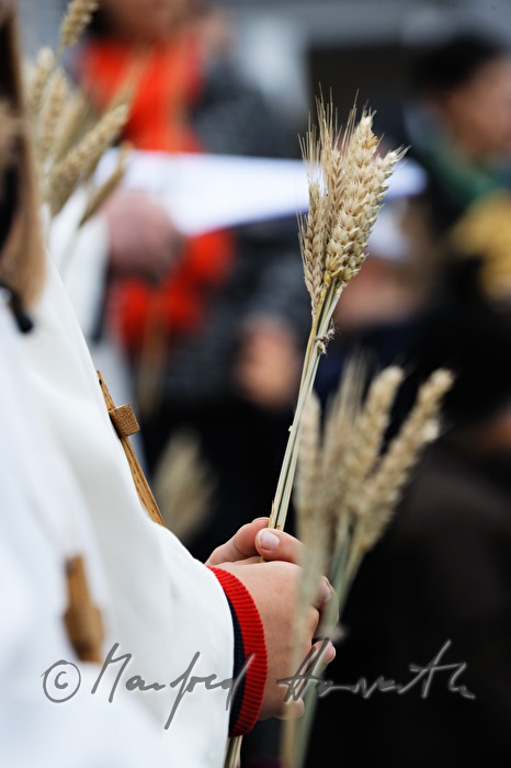 altar boy with a truss of wheat in his hands