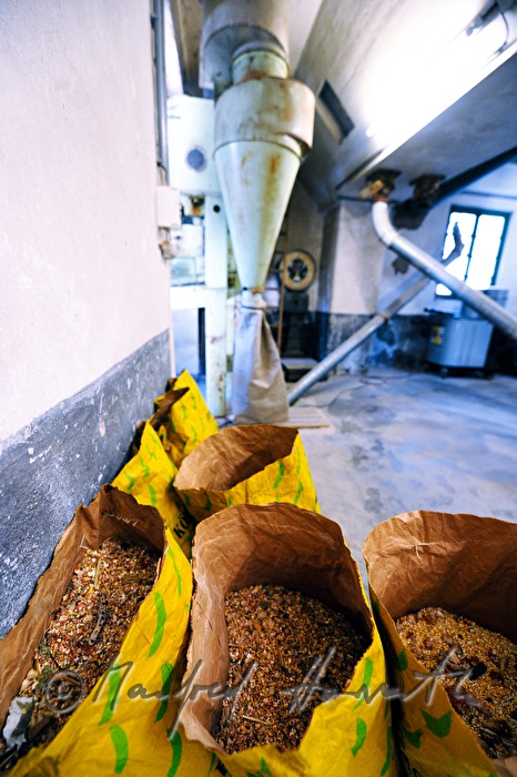 paper sacks with grinded maize
