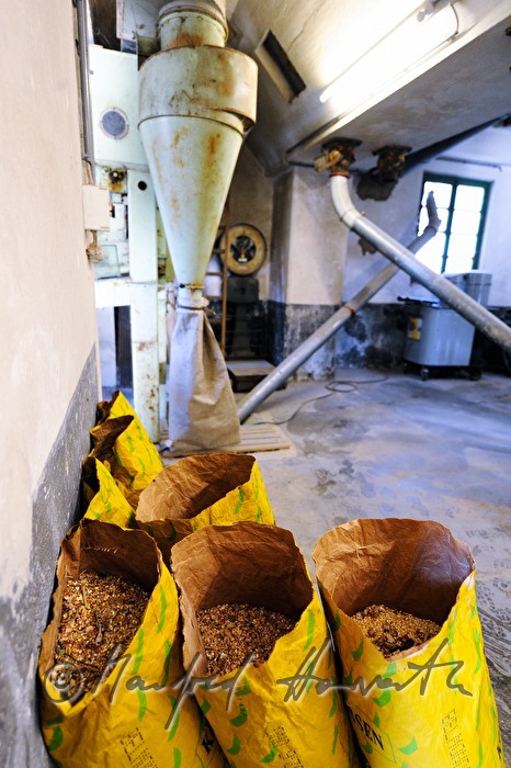 paper sacks with grinded maize