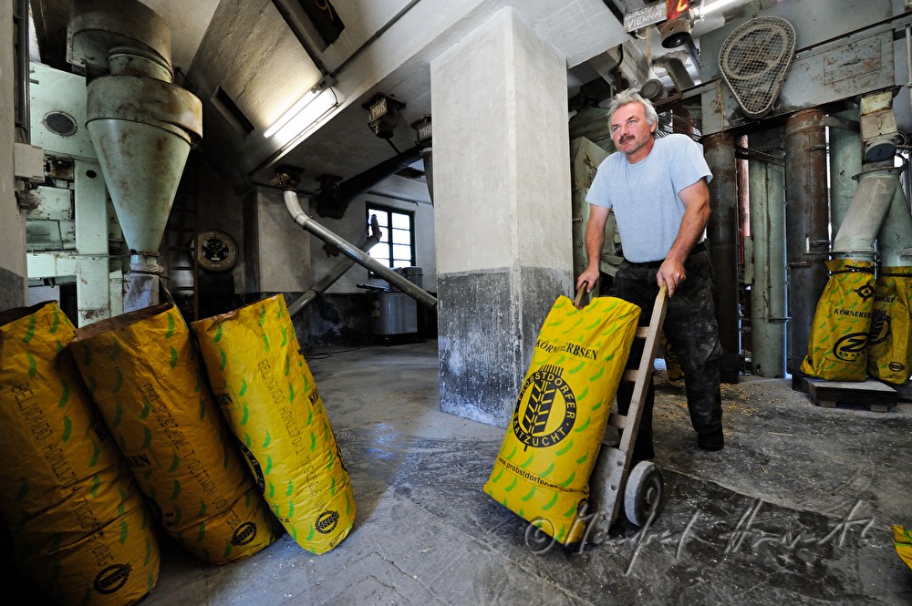paper sacks with grinded maize