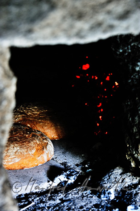 baking bread in the wood fired oven in the bakehouse