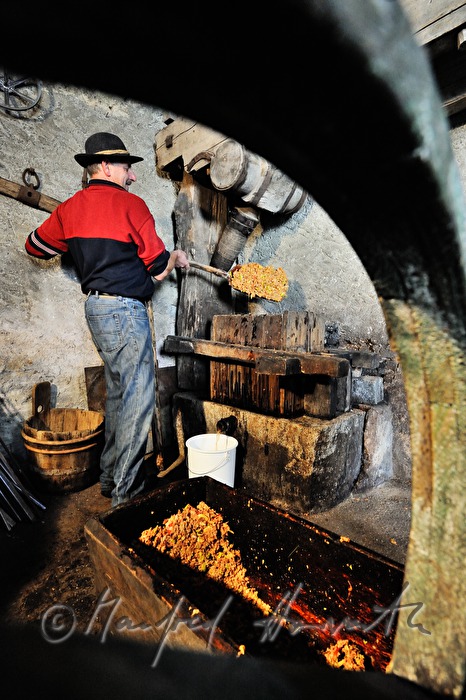 making cider in the cellar of a farm house