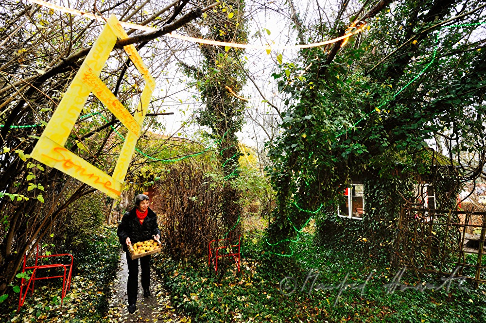 paintress Linde Waber in her garden