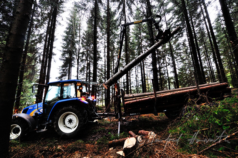 forest worker loads timber with a gripper