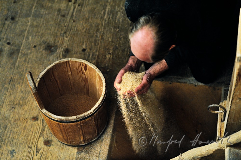 millner taking out wheat of the store