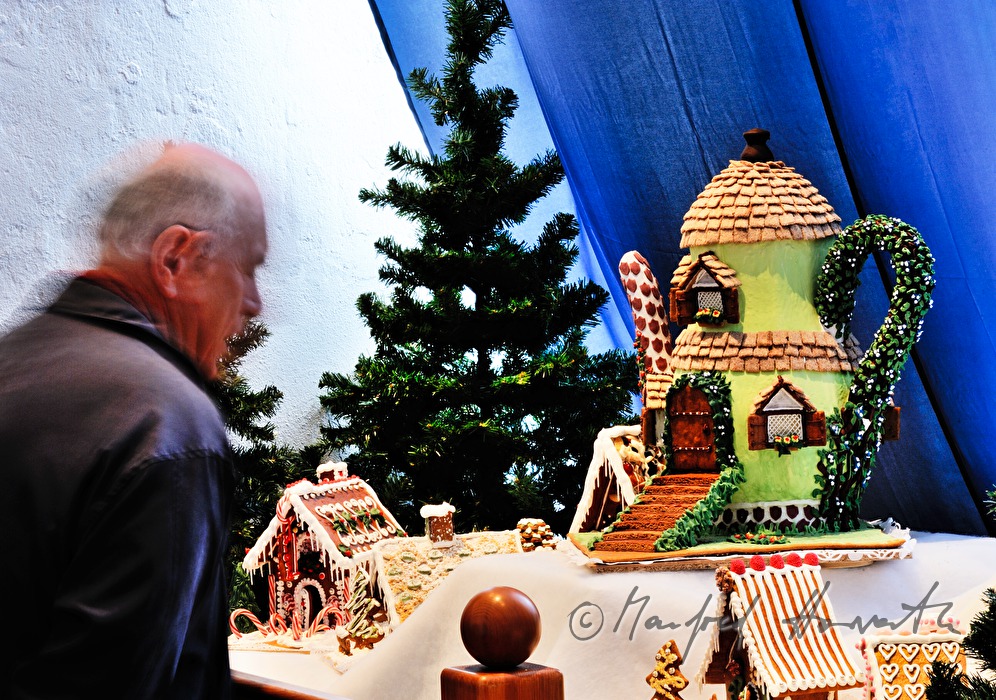 visitor in the gingerbread house exhibition