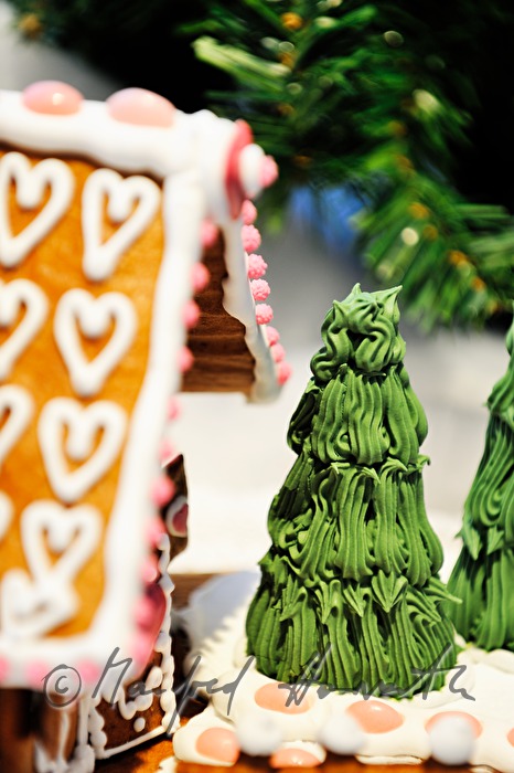 detail of a gingerbread house at the gingerbread exhibition