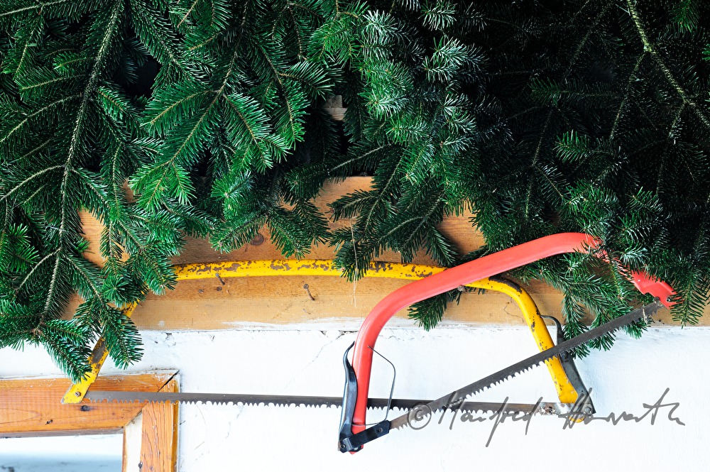 saws and brushwood at the Christmas tree farm