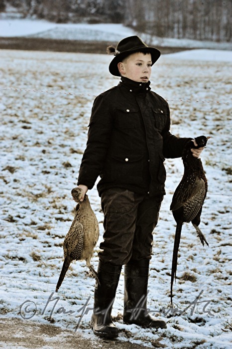 joung beater during a battue with pheasants