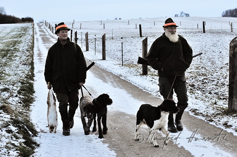 hunters with deer-hounds on a cart track