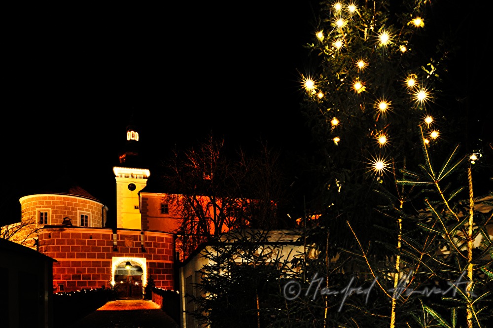 Christmas market and christmas tree in front of the castle