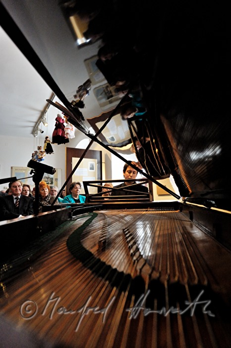 concert on an original Pleyel wing
