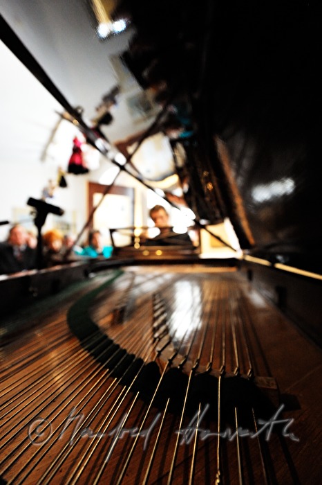 concert on an original Pleyel wing