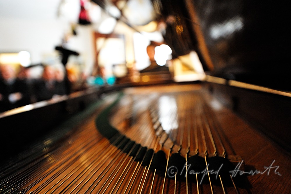 concert on an original Pleyel wing