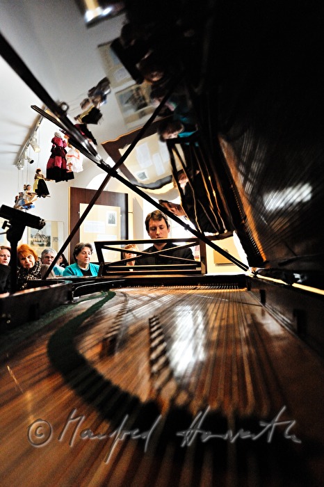 concert on an original Pleyel wing