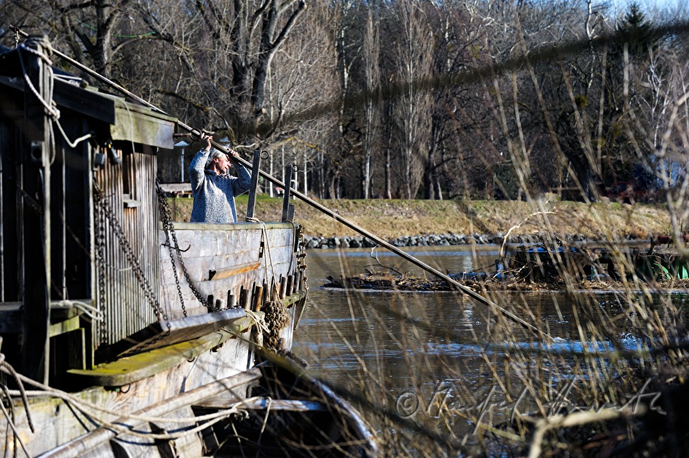 miller landing at his ship mill with a dumb barge