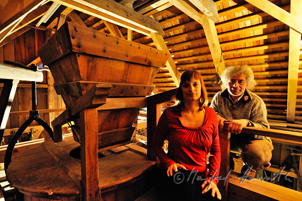 operators of the ship mill near the grinder