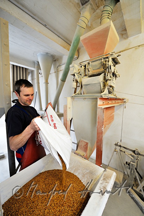 filling roasted malt into the grinder