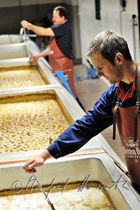 measuring the temperature of the fermenting vat