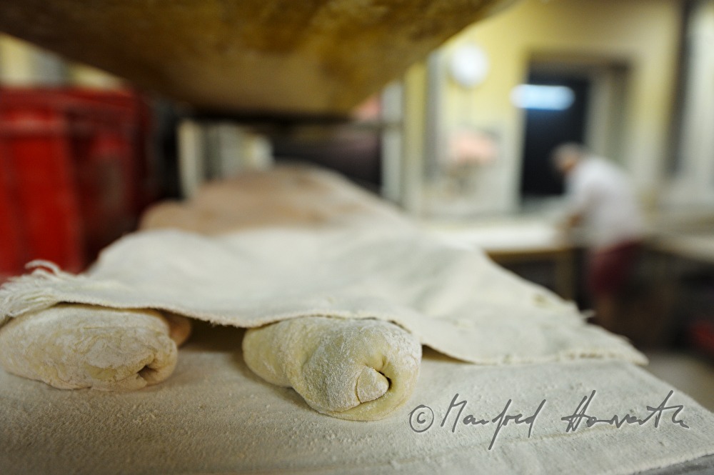covered bread roll leavening in the shelf