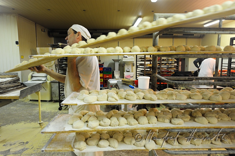baker carries a tray with wheat dough portions