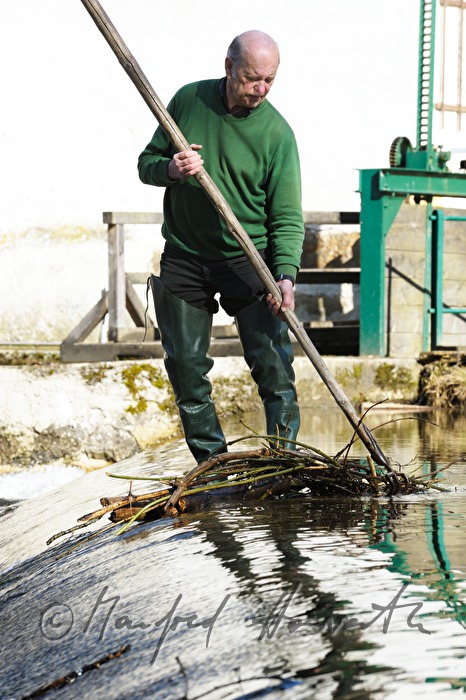 millner clears the river from driftwood