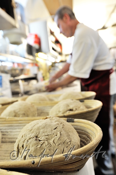 kneading the bread dough for the baking of bread