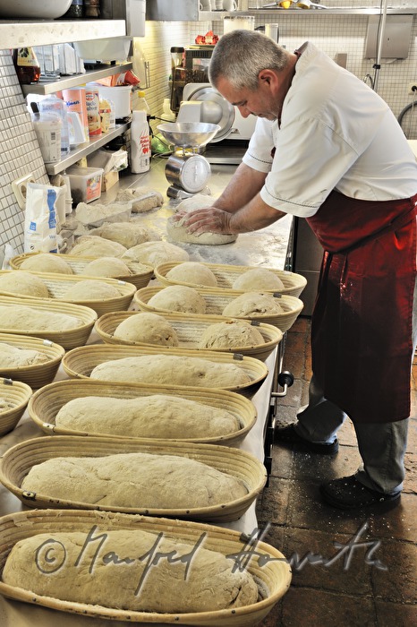 kneading the bread dough for the baking of bread