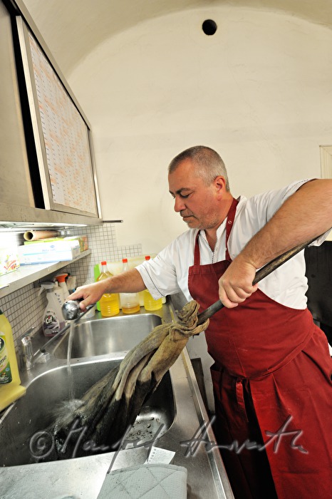 washing of the tool for the cleaning of the oven