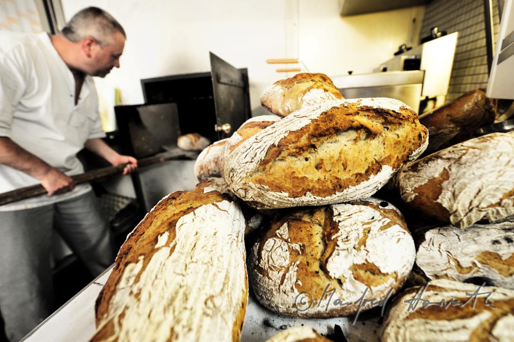 putting the bread into the oven for baking
