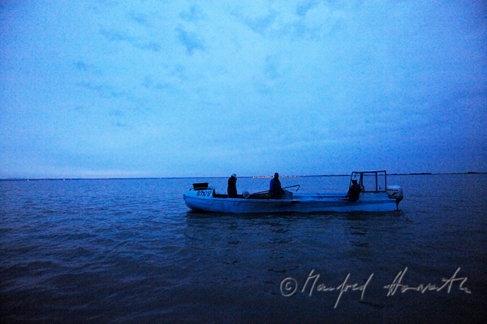 fishermen fishing for pike perch