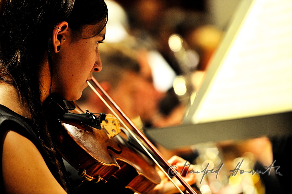 violiist of the Haydn Orchestra in concert