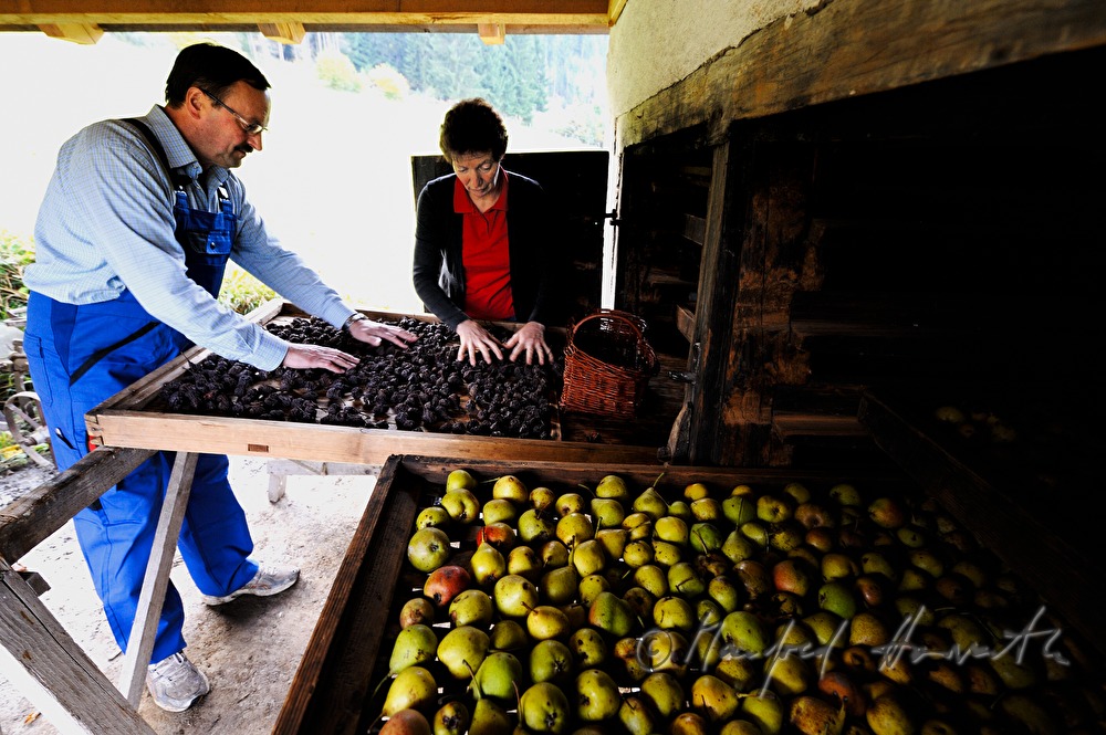 torrefaction of pears in the hut