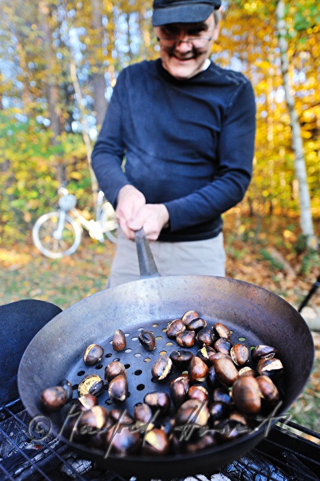 making of baked chestnuts at the chestnut festival