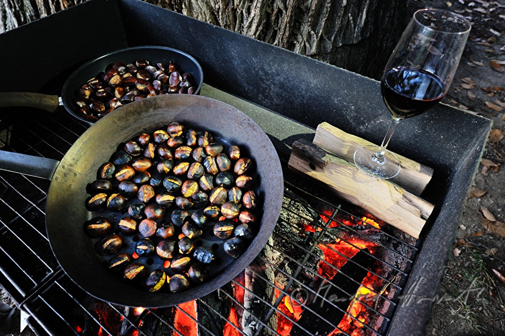 making of baked chestnuts at the chestnut festival