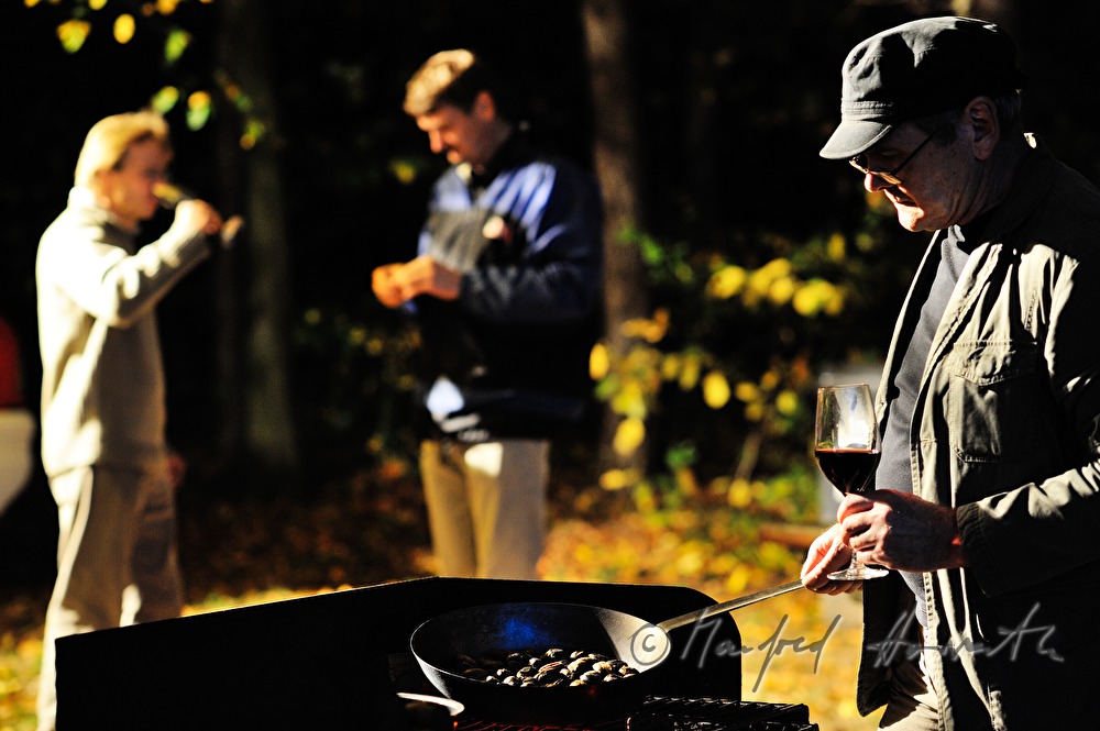 making of baked chestnuts at the chestnut festival