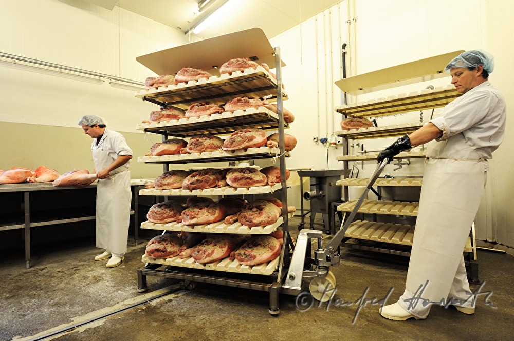 transport of corned ham to the drying room