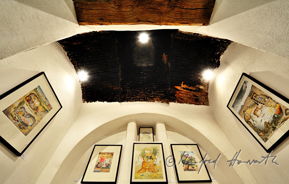 Erwin Moser Museum in the wine store building