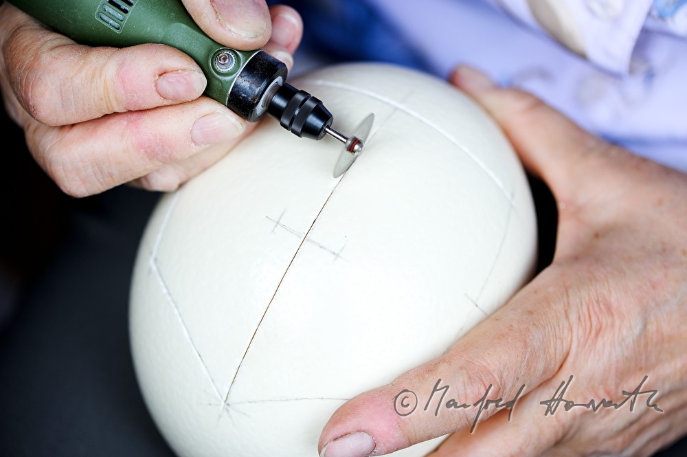 cutting ostrich eggs in the Easter egg workshop Reiner