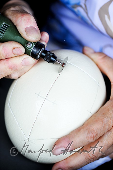 cutting ostrich eggs in the Easter egg workshop Reiner