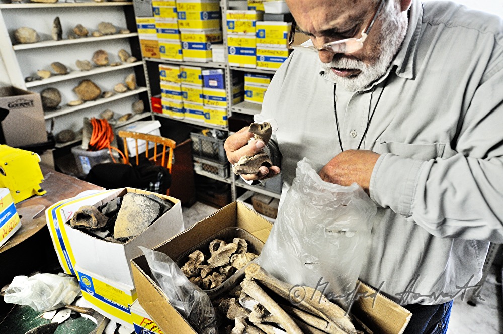 private archeologist with miscellaneous animal  bones