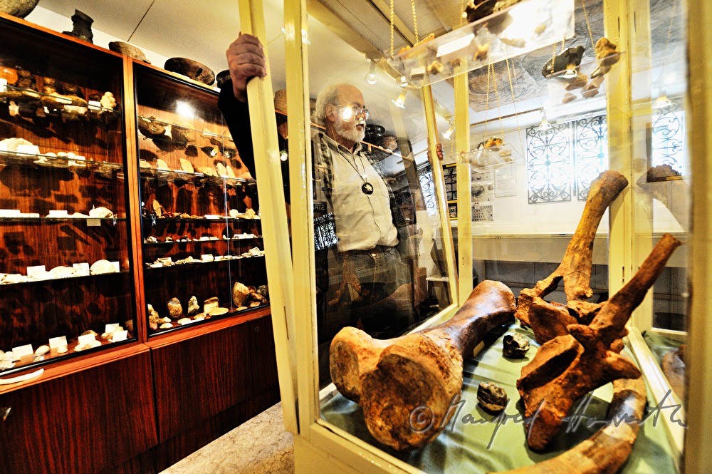 private archeologist opens the showcase in his collection