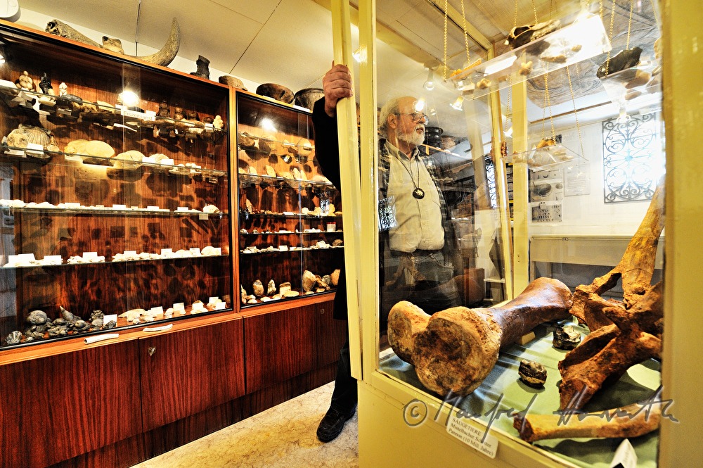 private archeologist opens the showcase in his collection