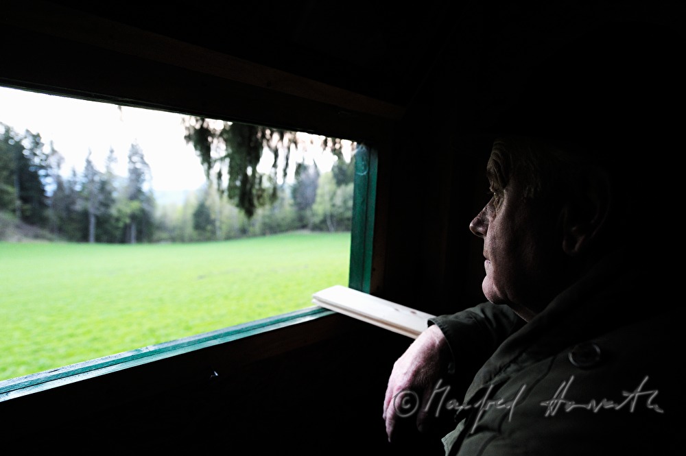 gamekeeper on the deer stand watching the scenery