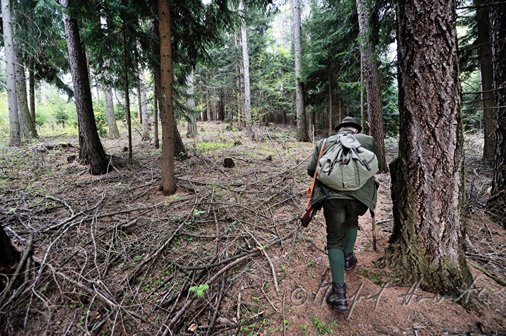 gamekeeper in the morning walking to the deer stand