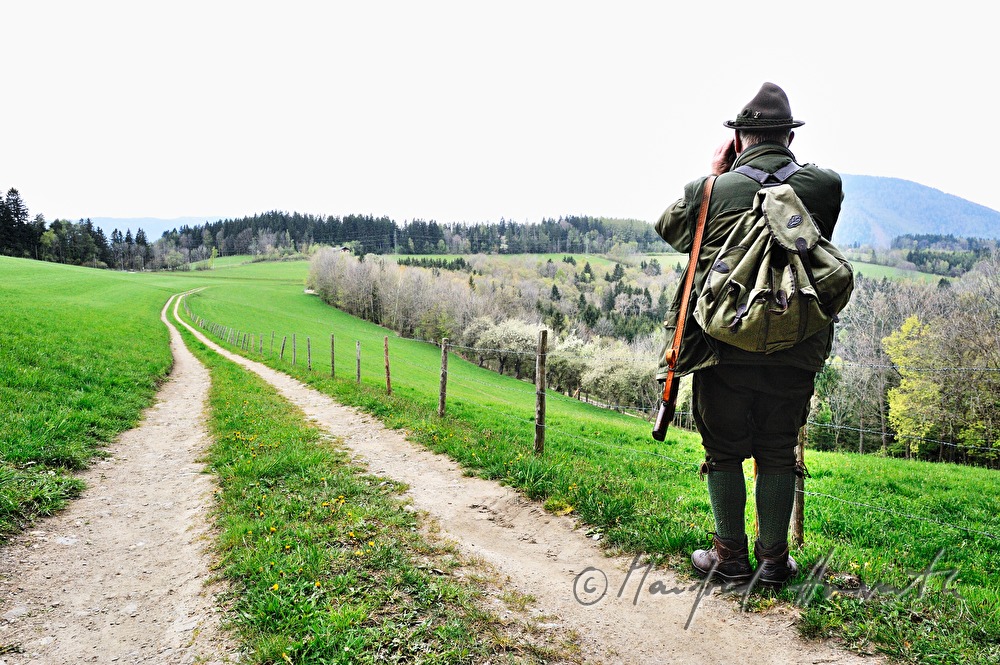 gamekeeper in the morning walking to the deer stand